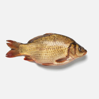 Рыба и дары моря